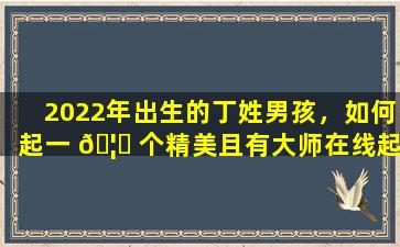 2022年出生的丁姓男孩，如何起一 🦋 个精美且有大师在线起名的名字
